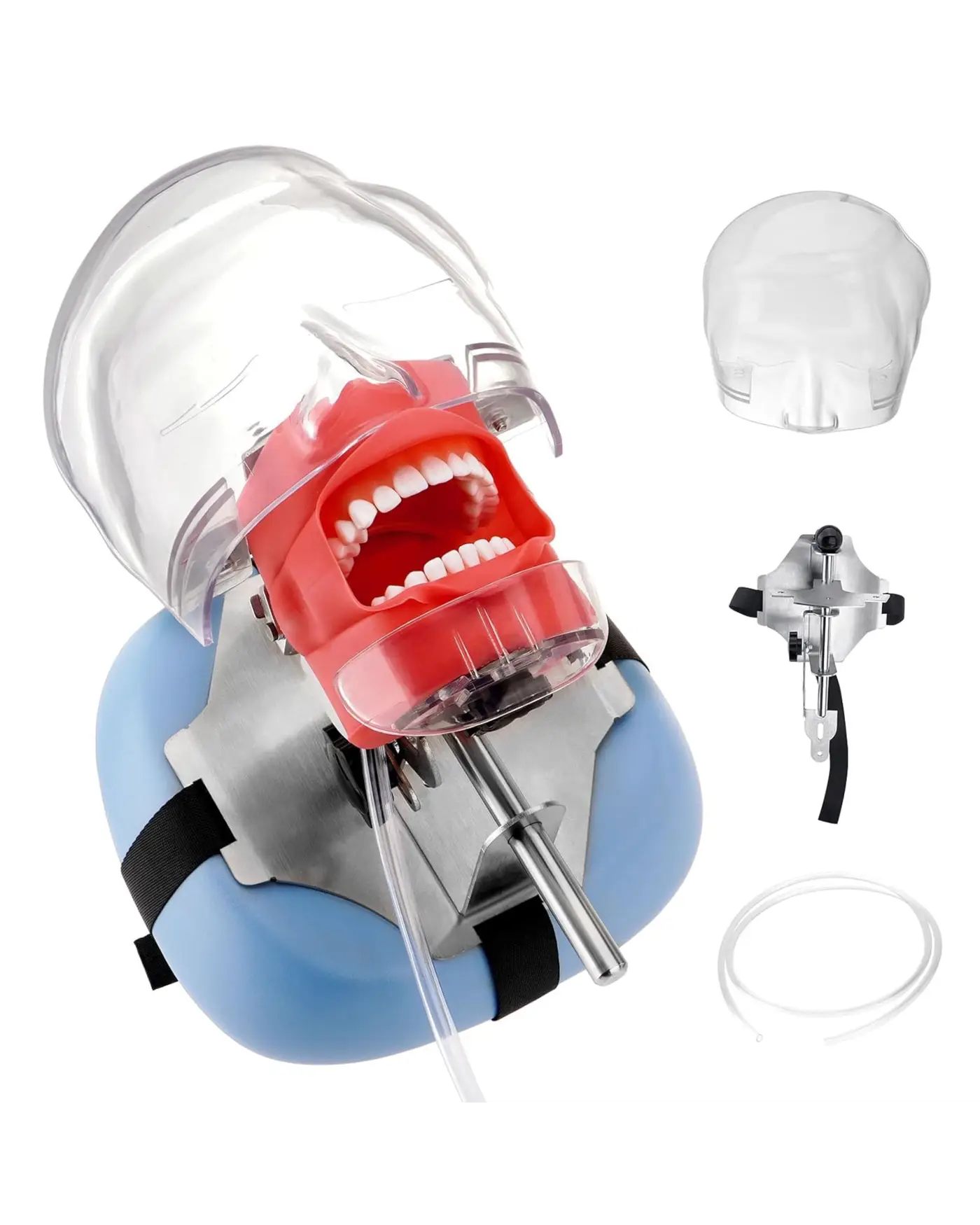 Dental mouth (risky fleshlight)