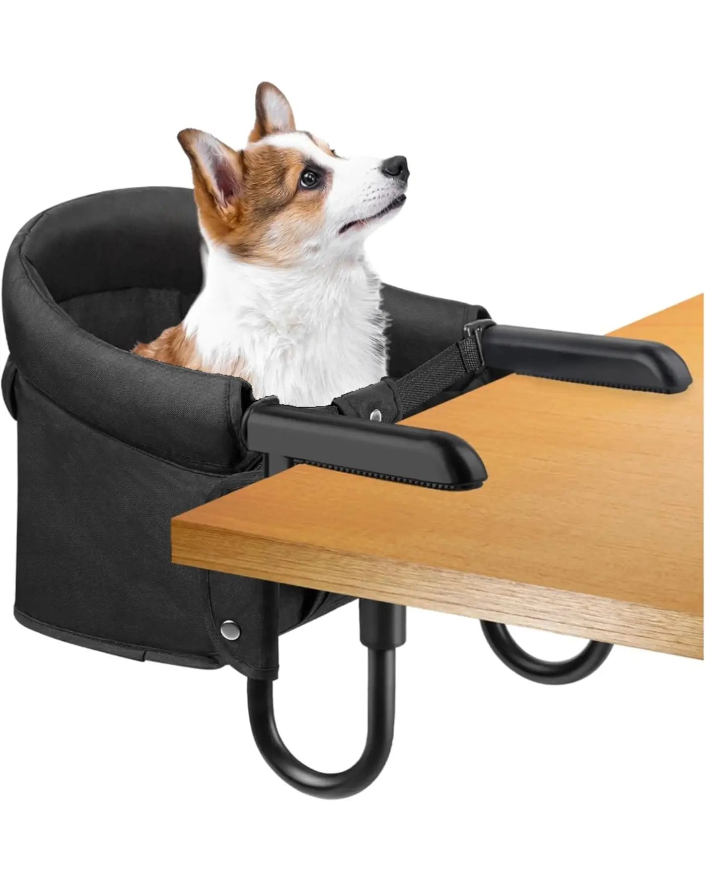 Pet High Chair
